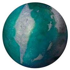Globe